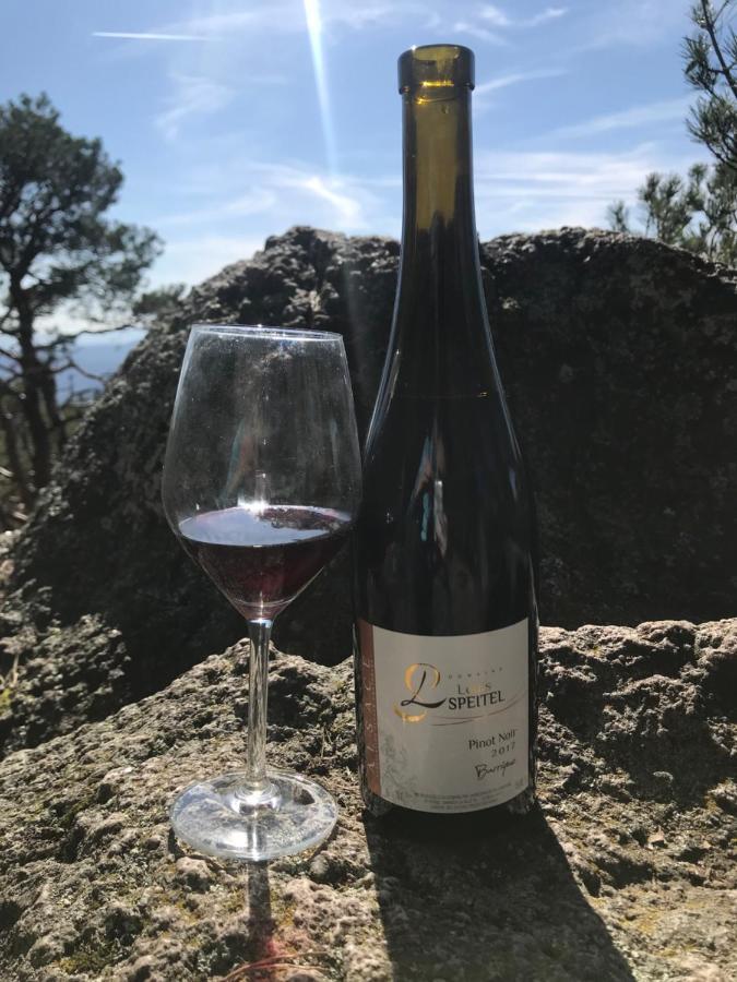 Gite - Chez Josephine Dambach 外观 照片